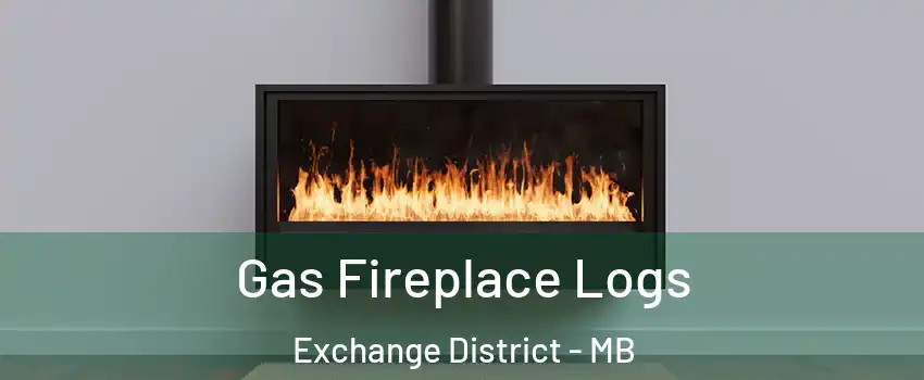  Gas Fireplace Logs Exchange District - MB