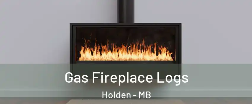  Gas Fireplace Logs Holden - MB