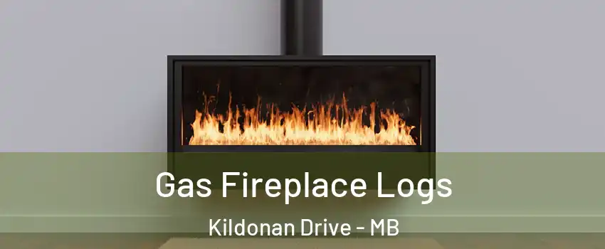  Gas Fireplace Logs Kildonan Drive - MB