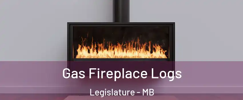  Gas Fireplace Logs Legislature - MB