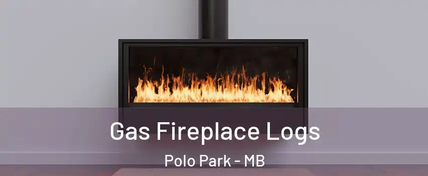  Gas Fireplace Logs Polo Park - MB