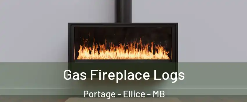  Gas Fireplace Logs Portage - Ellice - MB