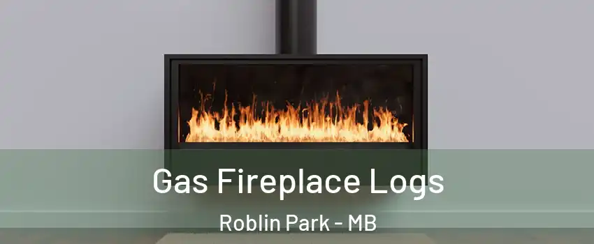  Gas Fireplace Logs Roblin Park - MB