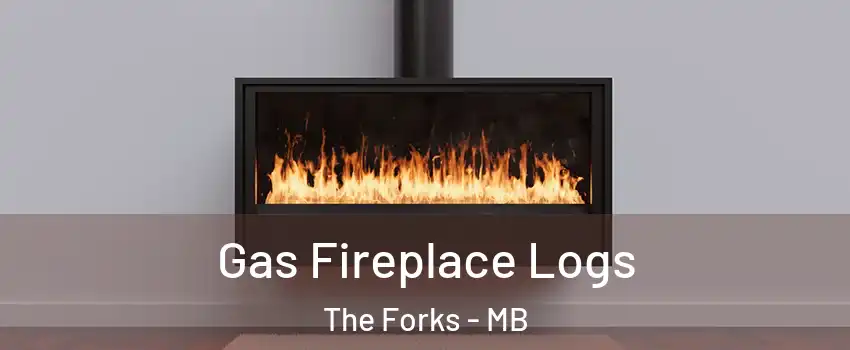  Gas Fireplace Logs The Forks - MB