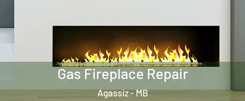  Gas Fireplace Repair Agassiz - MB