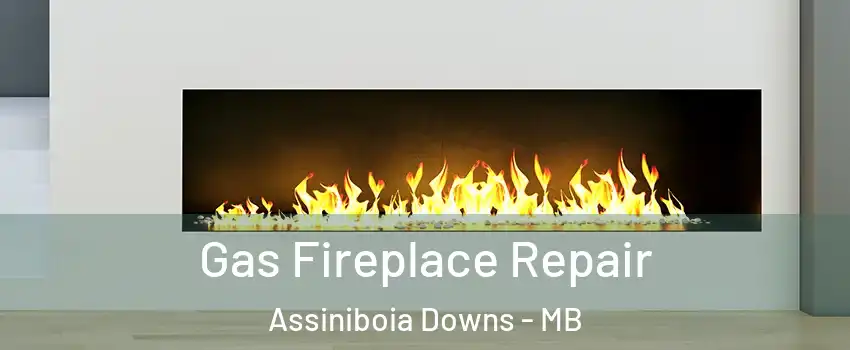  Gas Fireplace Repair Assiniboia Downs - MB