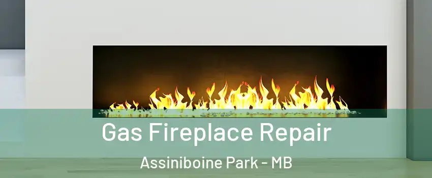  Gas Fireplace Repair Assiniboine Park - MB