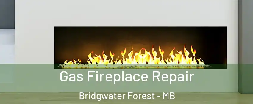  Gas Fireplace Repair Bridgwater Forest - MB