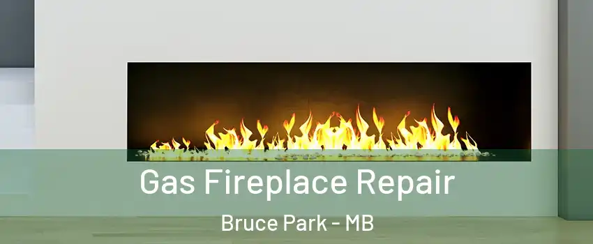  Gas Fireplace Repair Bruce Park - MB