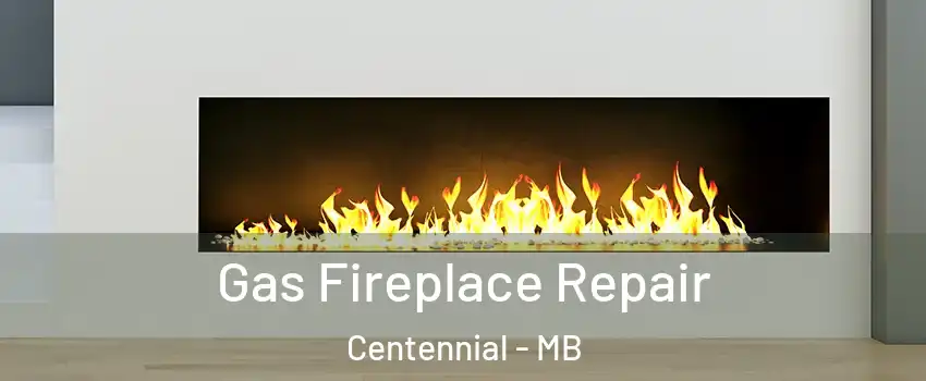  Gas Fireplace Repair Centennial - MB