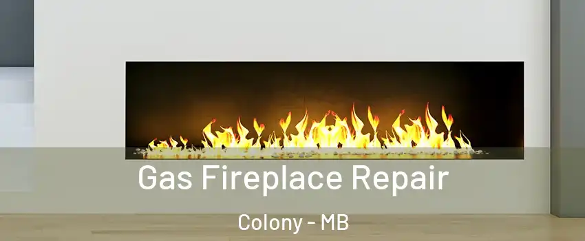  Gas Fireplace Repair Colony - MB