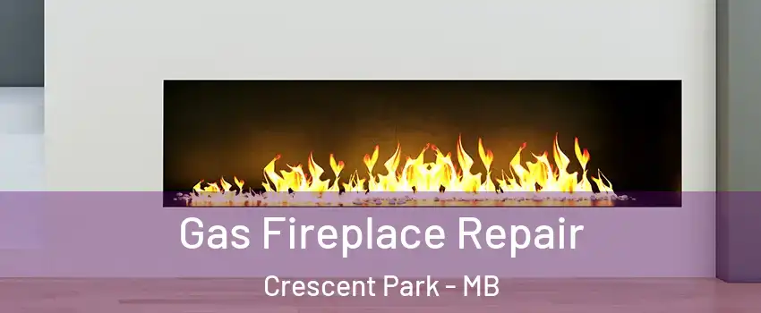  Gas Fireplace Repair Crescent Park - MB