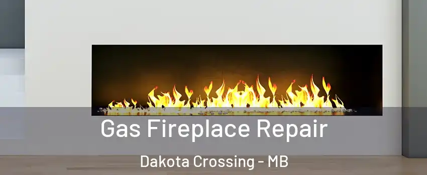  Gas Fireplace Repair Dakota Crossing - MB
