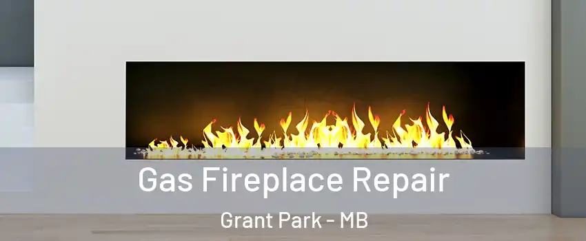  Gas Fireplace Repair Grant Park - MB