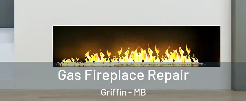  Gas Fireplace Repair Griffin - MB