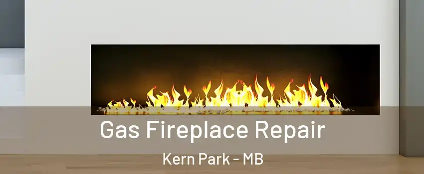  Gas Fireplace Repair Kern Park - MB