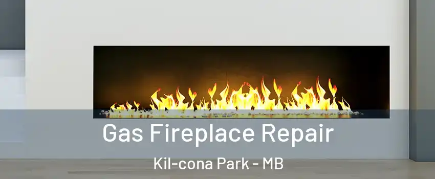 Gas Fireplace Repair Kil-cona Park - MB