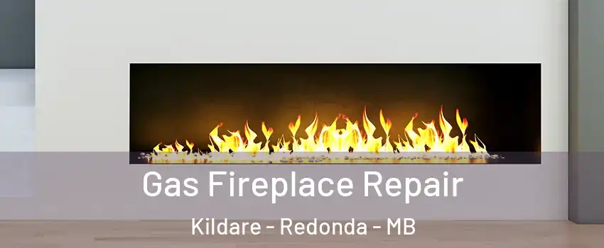  Gas Fireplace Repair Kildare - Redonda - MB