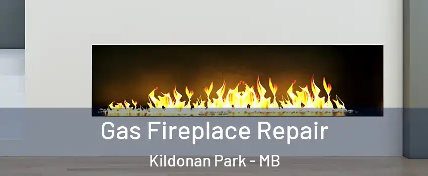  Gas Fireplace Repair Kildonan Park - MB