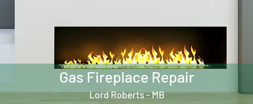  Gas Fireplace Repair Lord Roberts - MB