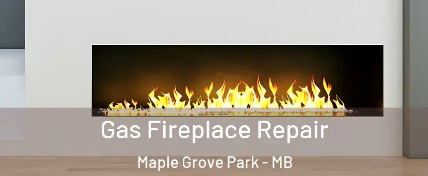  Gas Fireplace Repair Maple Grove Park - MB
