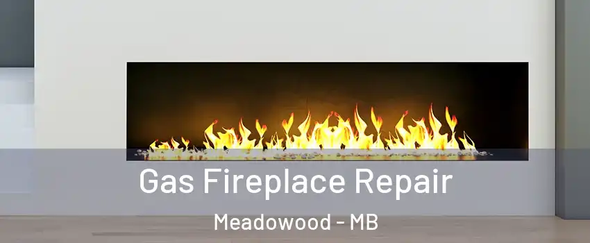 Gas Fireplace Repair Meadowood - MB