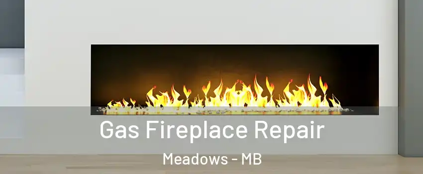  Gas Fireplace Repair Meadows - MB
