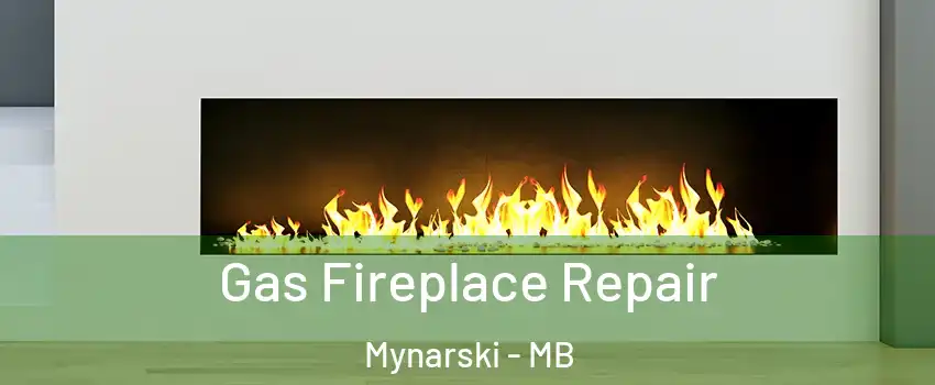  Gas Fireplace Repair Mynarski - MB