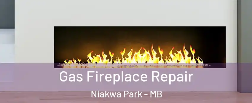  Gas Fireplace Repair Niakwa Park - MB