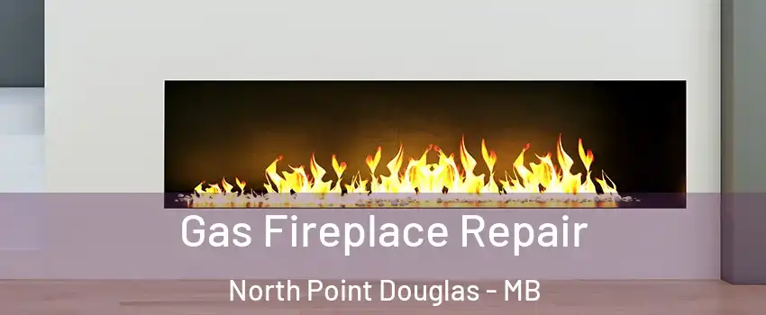  Gas Fireplace Repair North Point Douglas - MB