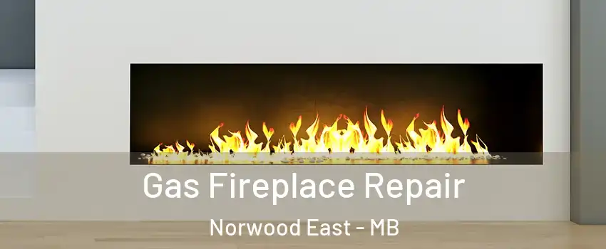  Gas Fireplace Repair Norwood East - MB