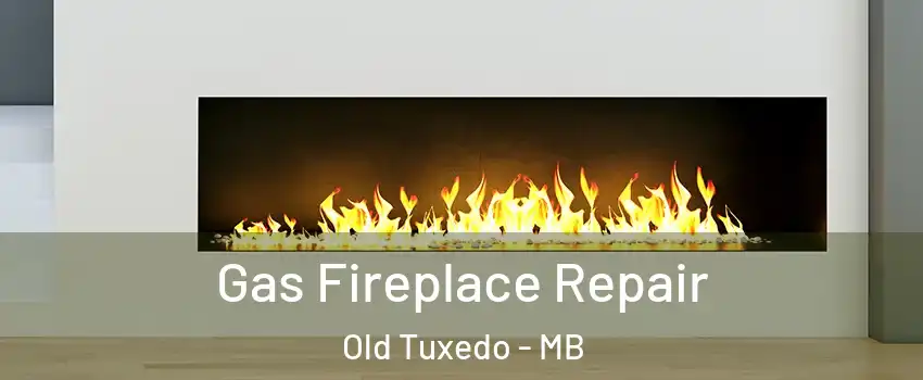  Gas Fireplace Repair Old Tuxedo - MB