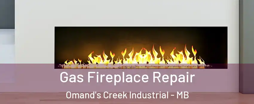  Gas Fireplace Repair Omand's Creek Industrial - MB