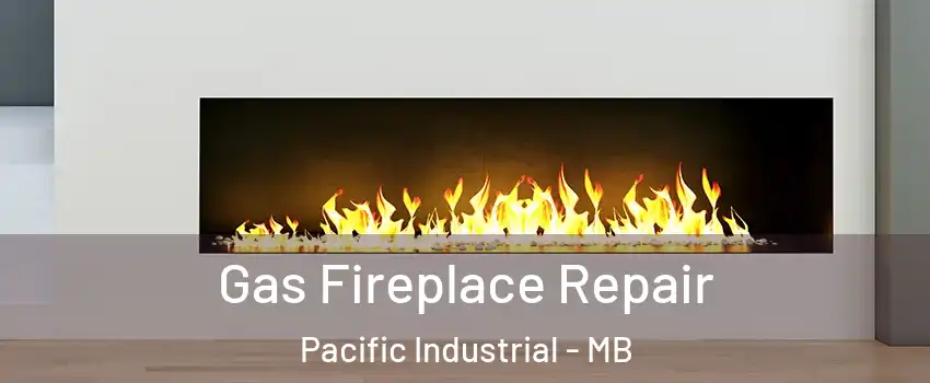  Gas Fireplace Repair Pacific Industrial - MB