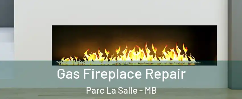  Gas Fireplace Repair Parc La Salle - MB