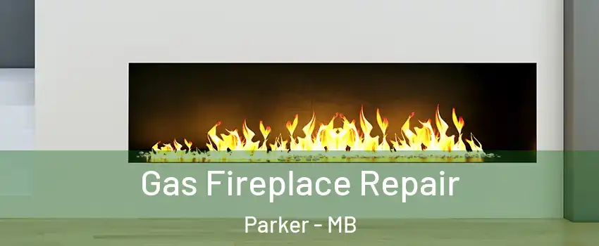  Gas Fireplace Repair Parker - MB