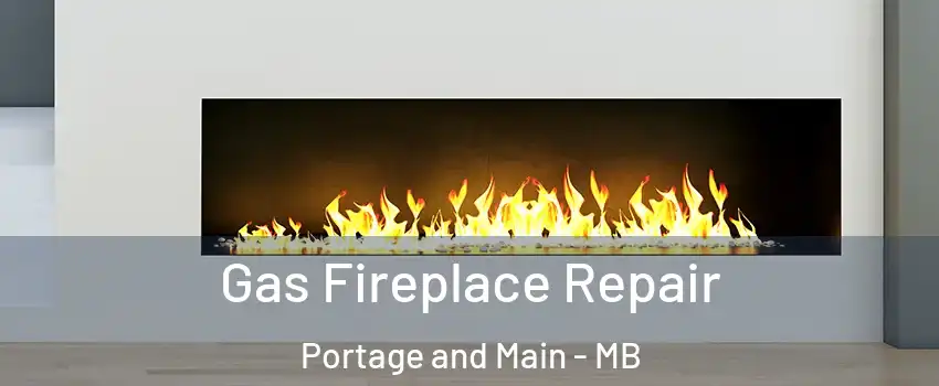  Gas Fireplace Repair Portage and Main - MB