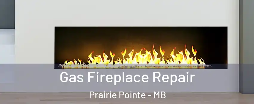  Gas Fireplace Repair Prairie Pointe - MB