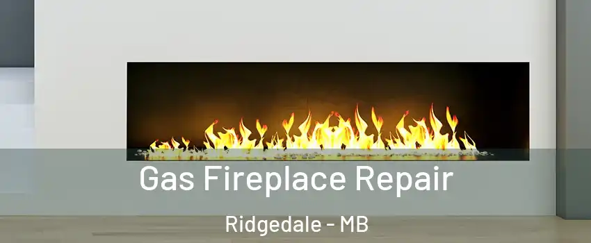  Gas Fireplace Repair Ridgedale - MB