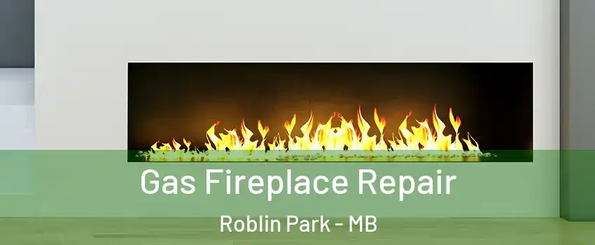  Gas Fireplace Repair Roblin Park - MB