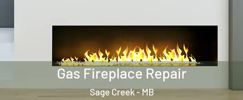  Gas Fireplace Repair Sage Creek - MB