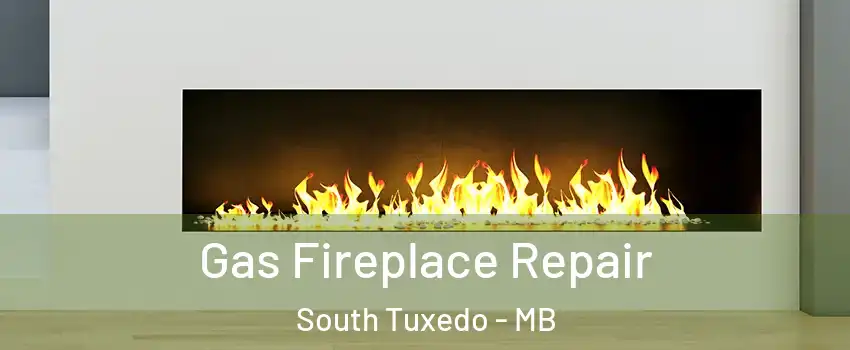  Gas Fireplace Repair South Tuxedo - MB