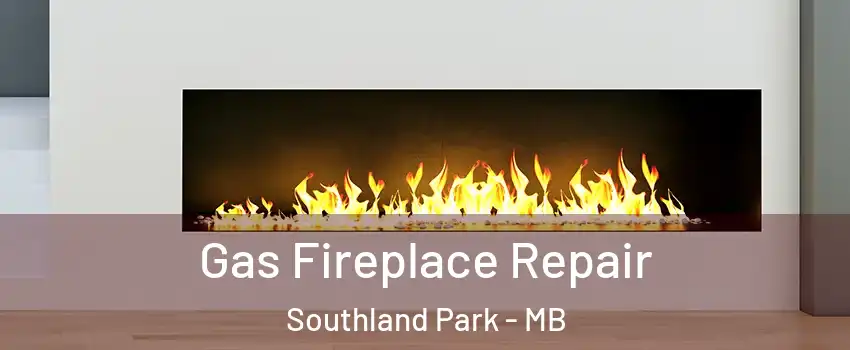  Gas Fireplace Repair Southland Park - MB