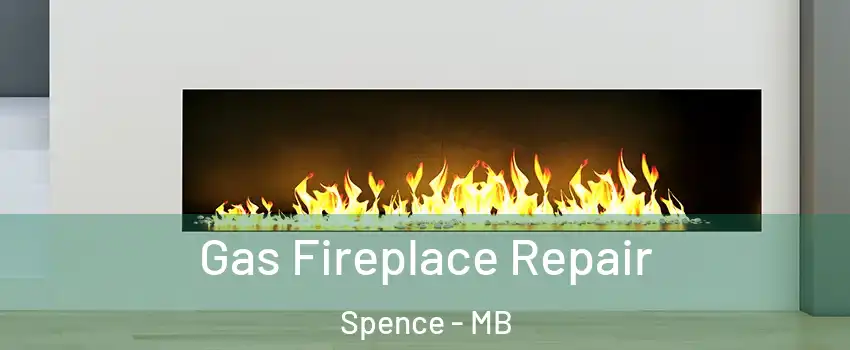  Gas Fireplace Repair Spence - MB