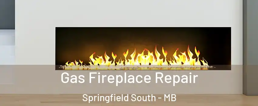  Gas Fireplace Repair Springfield South - MB