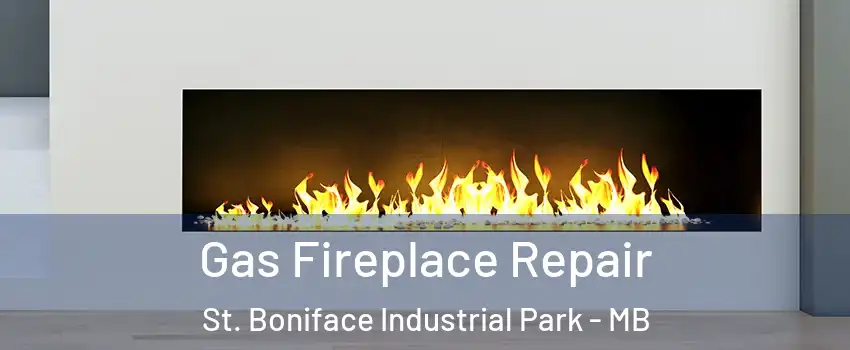  Gas Fireplace Repair St. Boniface Industrial Park - MB
