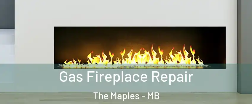  Gas Fireplace Repair The Maples - MB