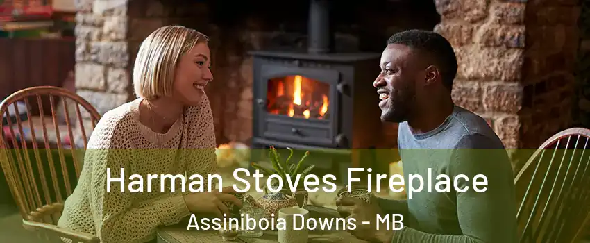  Harman Stoves Fireplace Assiniboia Downs - MB