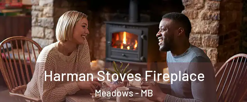  Harman Stoves Fireplace Meadows - MB