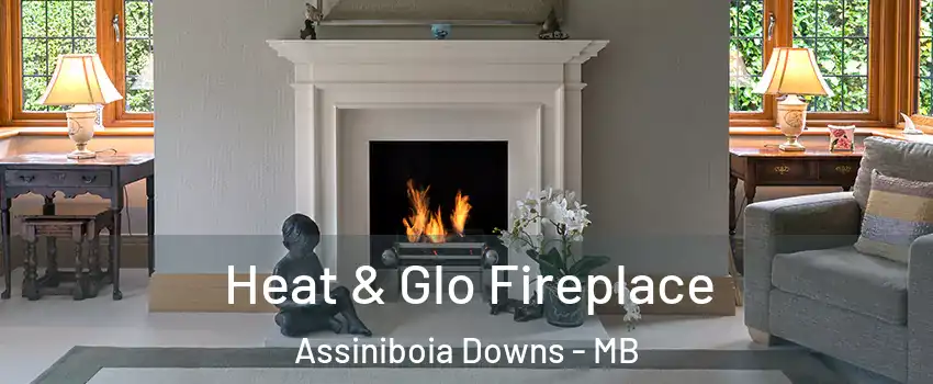  Heat & Glo Fireplace Assiniboia Downs - MB